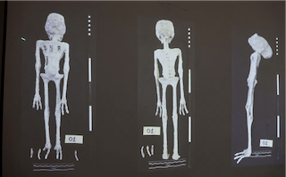 Múmias de Nazca: Visitantes Alienígenas ou Fraude Antiga?